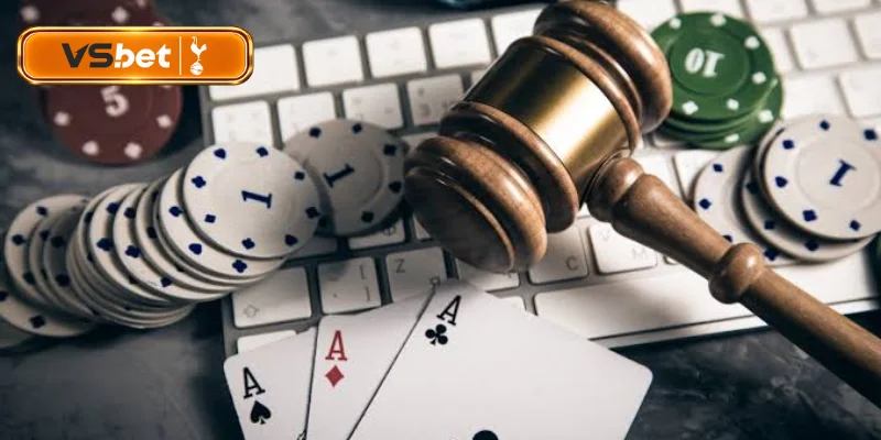 Nhà cái chú trọng phát triển điều khoản dịch vụ Vsbet
